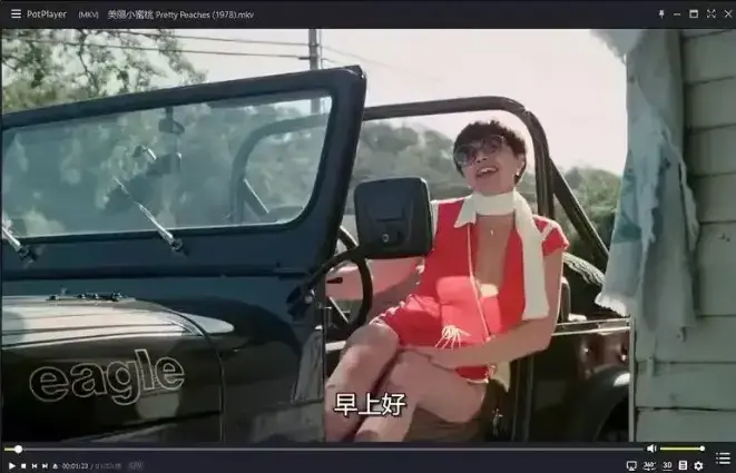 《美丽小蜜桃》未删减版免费观看-1978年复古喜剧电影在线播放-《美丽小蜜桃》高清中字完整版