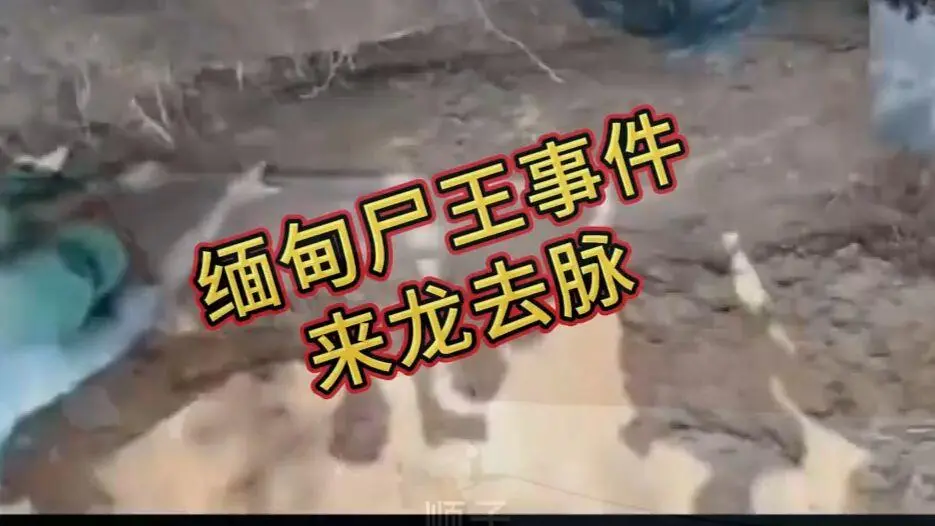 《缅甸僵尸出土事件视频》完整版在线观看免费播放-爆火视频高清下载未删减全程录像